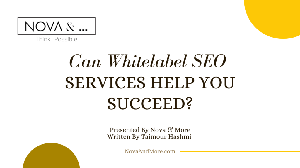How Can White Label SEO Services Help You succeed